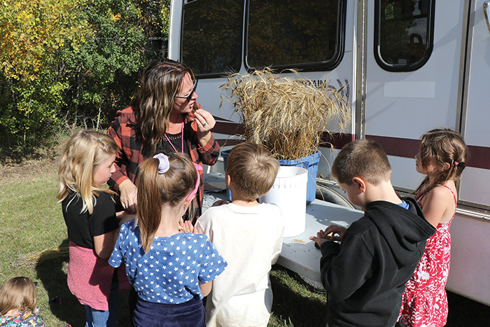Grade 1 students were learning about grain quality, while also tasting the wheat, at Stockholm’s Crop for Community’s educational event.<br />